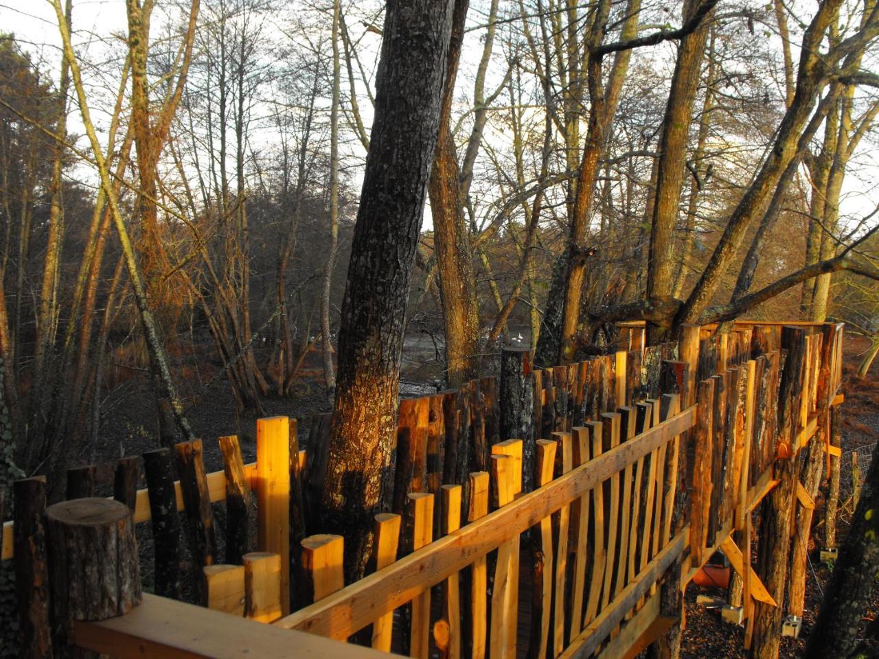Cabane Des Cerfs Allons  外观 照片